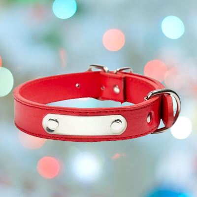Collier Chien - LeatherDogCollar™ - Rouge