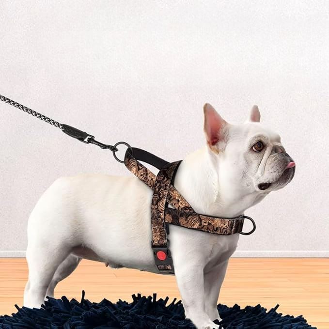 Harnais pour Chien - DogSafeHarness™ - Noir Doré