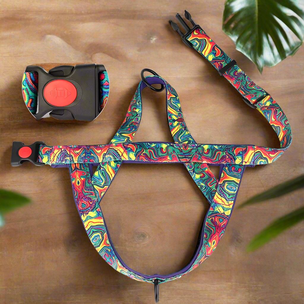 Harnais pour Chien - DogSafeHarness™ - Violet