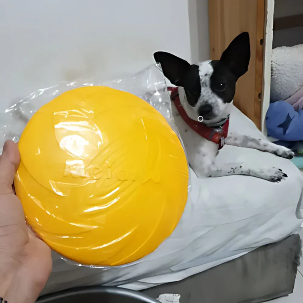 Frisbee pour Chien - FlyDog™ - Jaune